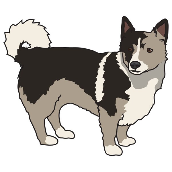Signmission Swedish Vallhund Dog Decal, Dog Lover Decor Vinyl Sticker D-12-Swedish Vallhund - main